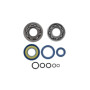 100200710.jpg KIT REVISIONE ALBERO MOTORE RMS CLASSIC PIAGGIO VESPA 50CC