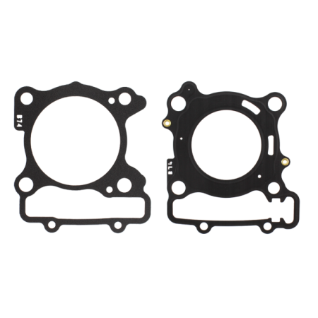 100681290.png GUARNIZIONI CILINDRO EVOK YAMAHA X-MAX 300CC