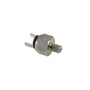 246140180.jpg INTERRUTTORE STOP IDRAULICO RMS CLASSIC PIAGGIO APE CAR/MP 104412
