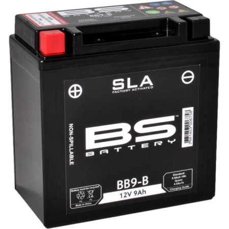 246650195.jpg BATTERIA BS SLA BB9-B