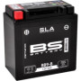 246650195.jpg BATTERIA BS SLA BB9-B