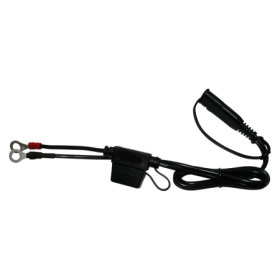 246700070.jpg TERMINALE AD ANELLO CON FUSIBILE BS