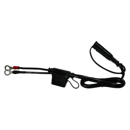 246700070.jpg TERMINALE AD ANELLO CON FUSIBILE BS