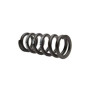 421640702.jpg MOLLA VALT LINEARE 50 MM / 2.00 INCH - 500 LBS/INCH