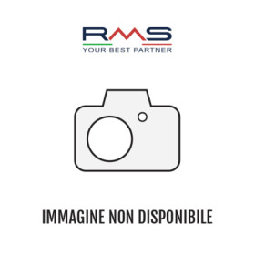 421730050.png PARAFANGO POSTERIORE REAR - NERO BIANCO