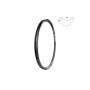 525050601.jpg CERCHIO NEW BIGFOOT DISCO - 29, 28 FORI