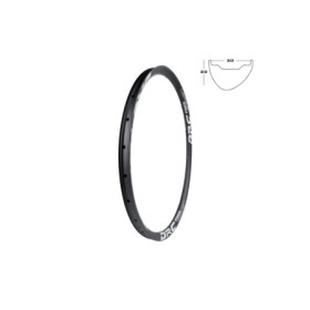525050601.jpg CERCHIO NEW BIGFOOT DISCO - 29, 28 FORI