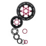 525260340.jpg PACCO PIGNONI A CASSETTA LIGHT MX3 10V - 11-42 DENTI, ARGENTO, SH11