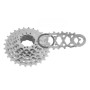 525260490.jpg PACCO PIGNONI A CASSETTA R91 9V - 11-28 DENTI, ARGENTO, SH11