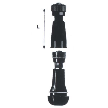 999999000.jpg VALVOLA TUBELESS PAX DIRITTA