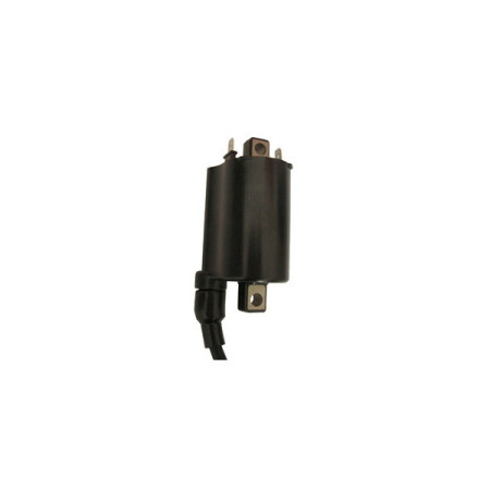 MARSRV03SISTEMIIMGSGR0010559.jpg BOBINA ESTERNA MOTO GUZZI 12V-
