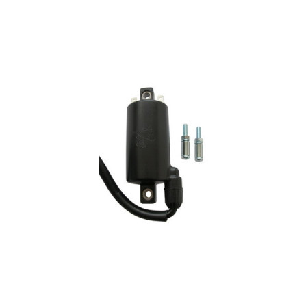 004722.jpg BOBINA 12V KAWASAKI EN454/EN45