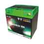 0675033SR.jpg BATTERIA SKYRICH LITIO HJTX30Q-FP