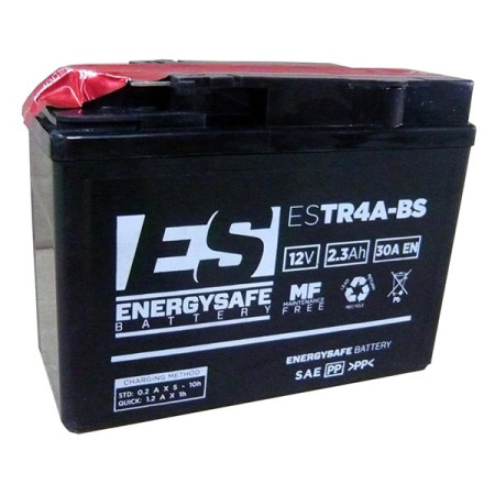 068029.jpg BATTERIA ENERGYSAFE ESTR4A-BS