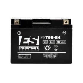 0680811_01.jpg BATTERIA ENERGYSAFE EST9B-B4 (