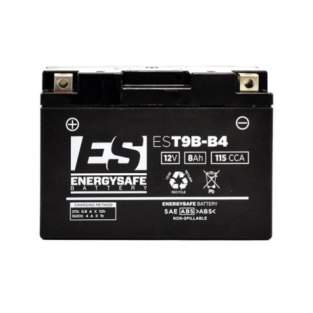 0680811_01.jpg BATTERIA ENERGYSAFE EST9B-B4 (