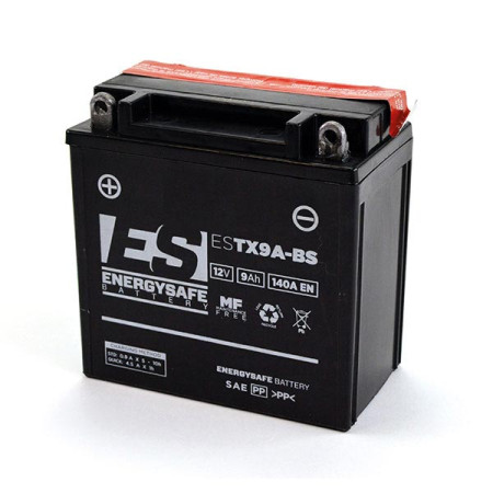 068098.jpg BATTERIA ENERGYSAFE ESTX9A-BS