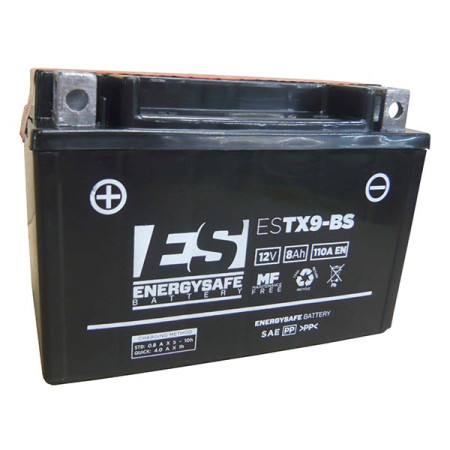 MARSRV03SISTEMIIMGSGR068099.jpg BATTERIA ENERGYSAFE ESTX9-BS 1