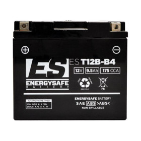 06811001_01.jpg BATTERIA ENERGYSAFE EST12B-B4