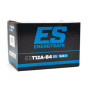 06811101.jpg BATTERIA ENERGYSAFE EST12A-B4