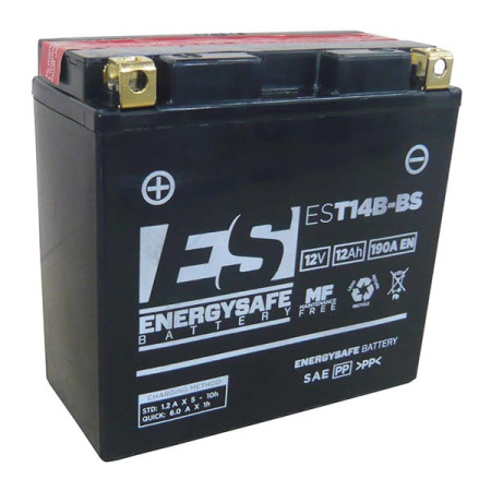 068130.jpg BATTERIA ENERGYSAFE EST14B-BS
