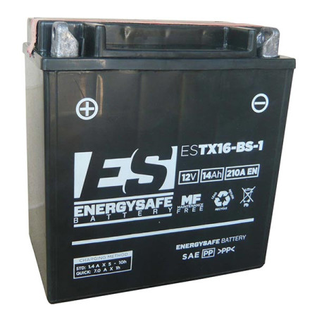 068169.jpg BATTERIA ENERGYSAFE ESTX16-BS-