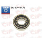 6204-NU.jpg CUSCINETTO A RULLI SKF 20X47X14 (NU 6204-ECP) LATO