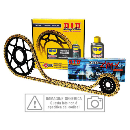 100001.jpg KIT TRASMISSIONE S-AL 13-49-114 DID520VX3 (G&B) R Per: BETAMOTOR 250 RR Enduro 2T