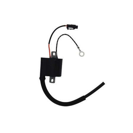 161004.jpg BOBINA KAWASAKI 250 KX-F 13/21