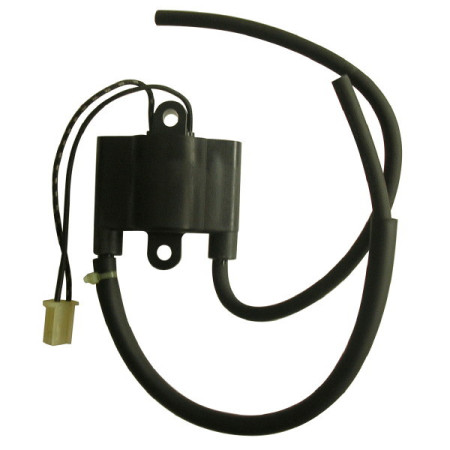 161203.jpg BOBINA SUZUKI XF 650 FREEWIND