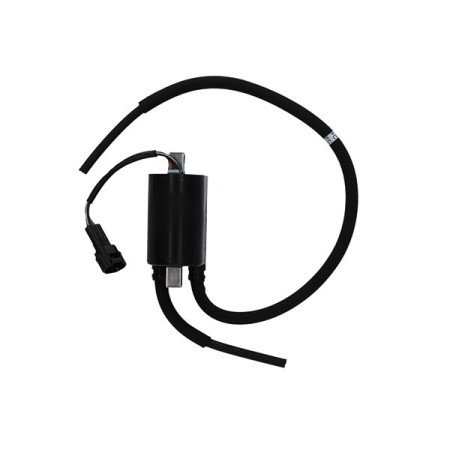 161213.jpg BOBINA SUZUKI SV 650 17/18 - SFV 650 GLADIUS 09/15