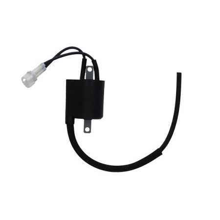 161413.jpg BOBINA YAMAHA WR 450 F 12/14