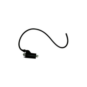 MARSRV03SISTEMIIMGSGR162410.jpg BOBINA 12V DUCATI 600/750/900 MONSTER/SS