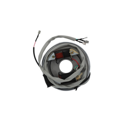 1630181.jpg STATORE APE CAR P2/P3 -APE MP P501/P601 1972/1996