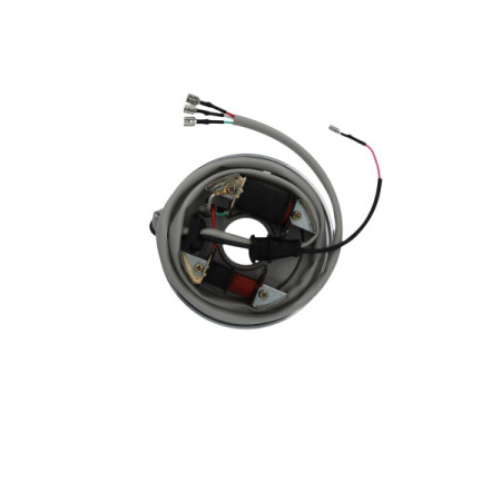 1630191.jpg STATORE APE CAR-APE TMP602/73-APE TM 1978/2016