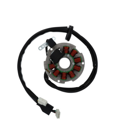 1630281.jpg STATORE PIAGGIO-GILERA HEXAGON/RUNNER 125/150/180 2T