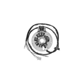 MARSRV03SISTEMIIMGSGR163055.jpg STATORE ADAT. YAMAHA/MBK 50 BW'S/BOOSTER