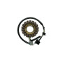 MARSRV03SISTEMIIMGSGR163059.jpg STATORE ADAT. YAMAHA MAJESTY 250 (00/ ) codici sostitutivi   161605
