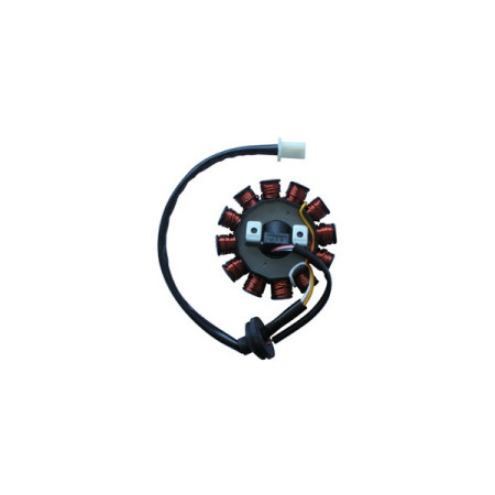 MARSRV03SISTEMIIMGSGR163072.jpg STATORE 12POLI ADAT.YAMAHA AEROX 50EURO2