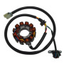 163083.jpg STATORE HONDA CRF 450 X