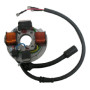 MARSRV03SISTEMIIMGSGR16410104.jpg STATORE 4 POLI VESPA PK50-PK50S S/AVV.TO