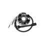 MARSRV03SISTEMIIMGSGR16436204.jpg STATORE COMPL.VESPA PK125(C/AV.)APE P/50