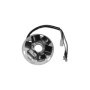 MARSRV03SISTEMIIMGSGR164371.jpg STATORE PIAGGIO VESPA PX 125/150/200 Codici sostitutivi   1643711