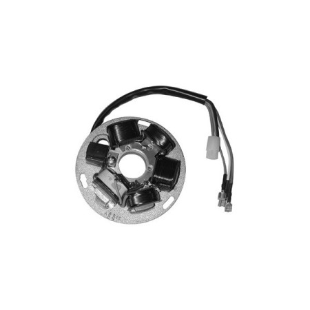 MARSRV03SISTEMIIMGSGR164371.jpg STATORE PIAGGIO VESPA PX 125/150/200 Codici sostitutivi   1643711