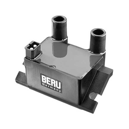 MARSRV03SISTEMIIMGSGR165505.jpg BOBINA BERU ZS224 DOPPIA ACC.BMW R 850GS