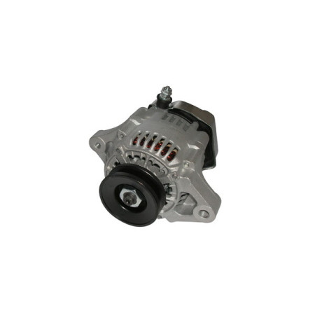 166720.jpg ALTERNATORE 12V/40A AIXAM 400/500 KUBOTA
