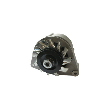 166728.jpg ALTERNATORE 12V/33A VM MOTORI