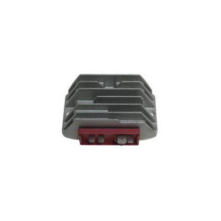 MARSRV03SISTEMIIMGSGR167236.jpg REGOLAT.LOMBARDINI12V/30A C/TERM.W-PONTE