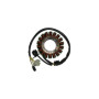 168007.jpg STATORE APRILIA 750 SHIVER/DORSODURO