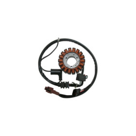 MARSRV03SISTEMIIMGSGR168010.jpg STATORE PIAGGIO 125 4V-IE BEVERLY/MP3/X1